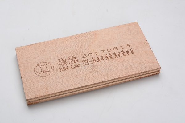 單張 (24).jpg