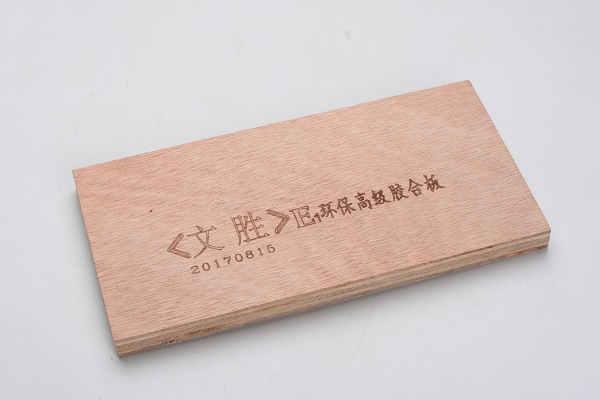 單張 (11).jpg