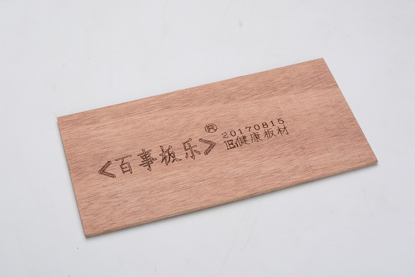 單張 (14).jpg