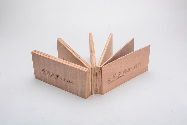 皇冠文盛系列側(cè)面展示